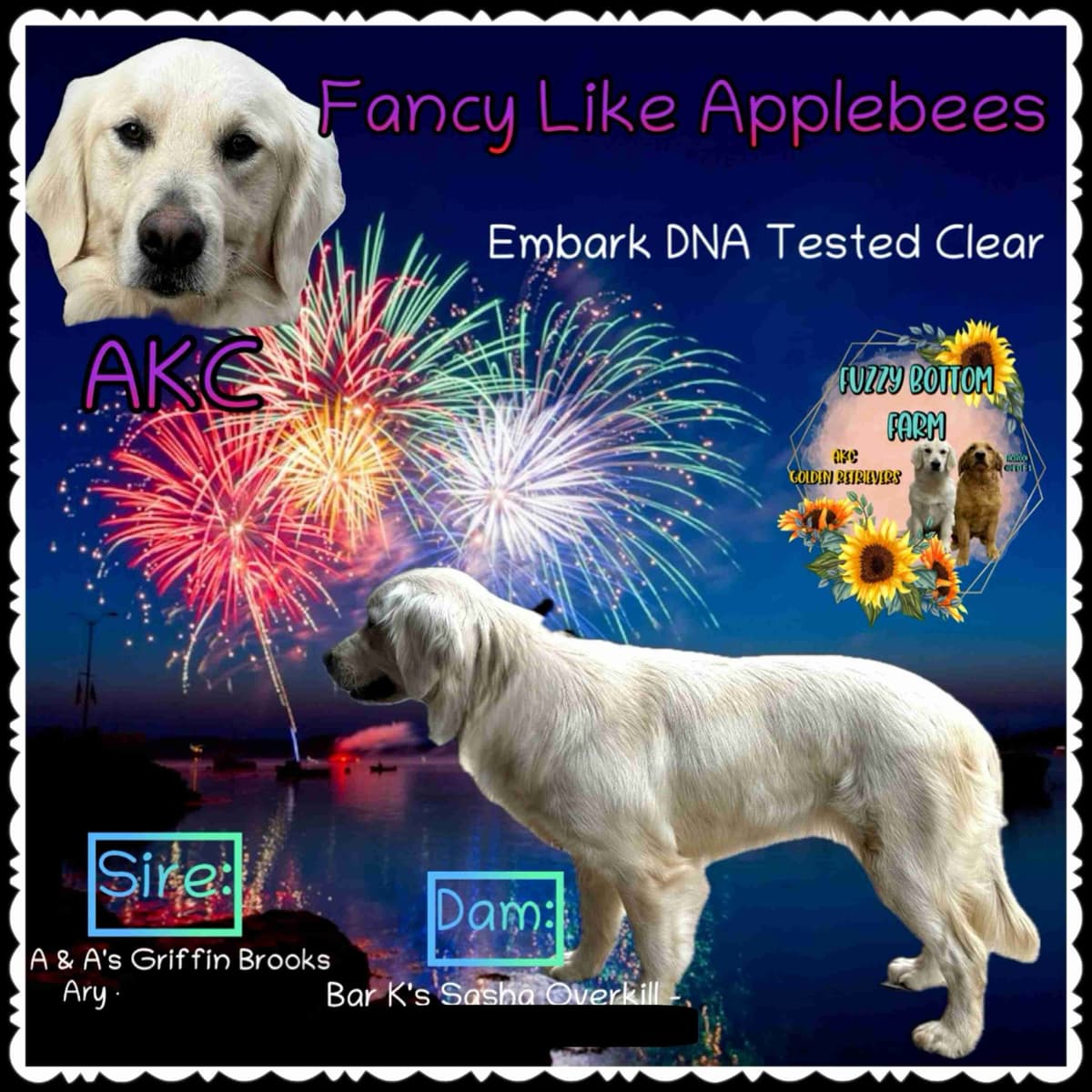 Fuzzy Bottom Farm Golden Retriever Puppies breeder image 3