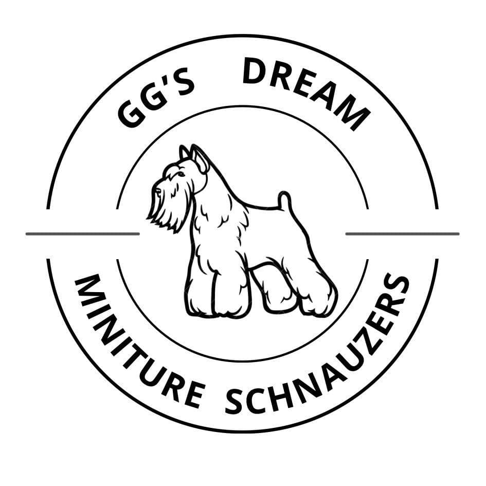 Miniature Schnauzer Puppies breeder image 1