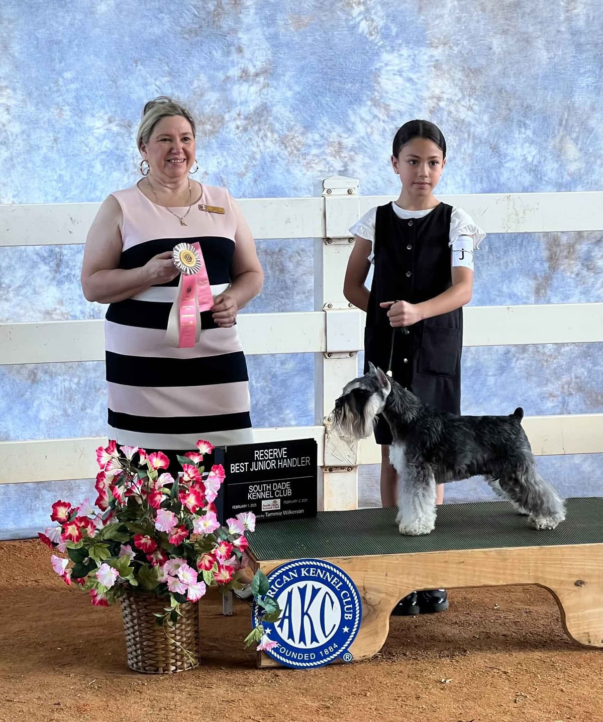 Miniature Schnauzer Puppies breeder image 11