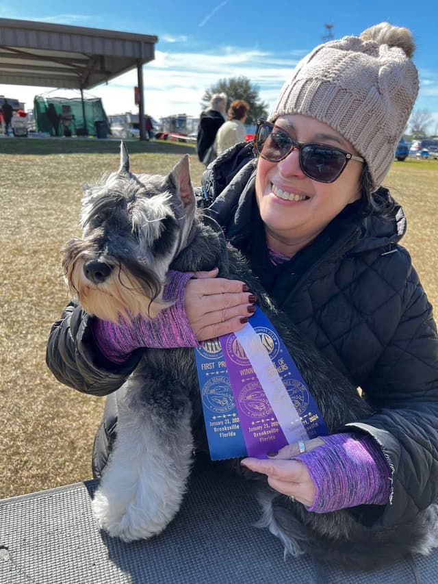 Miniature Schnauzer Puppies media 6