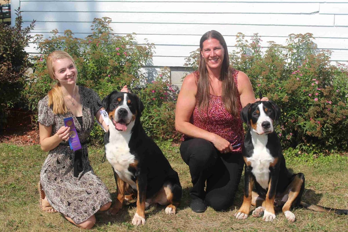 Nederlandse Kooikerhondje Puppies breeder image 86