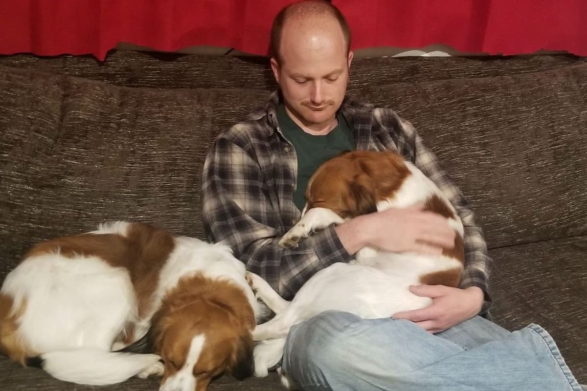 Nederlandse Kooikerhondje Puppies breeder image 98