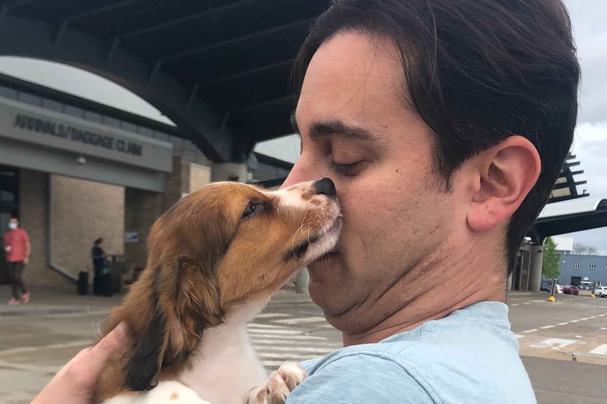 Nederlandse Kooikerhondje Puppies breeder image 125