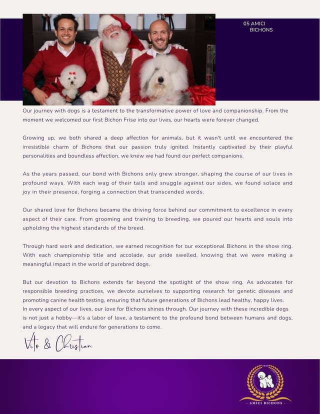 Bichon Frise Puppies - Champion Lines media 4