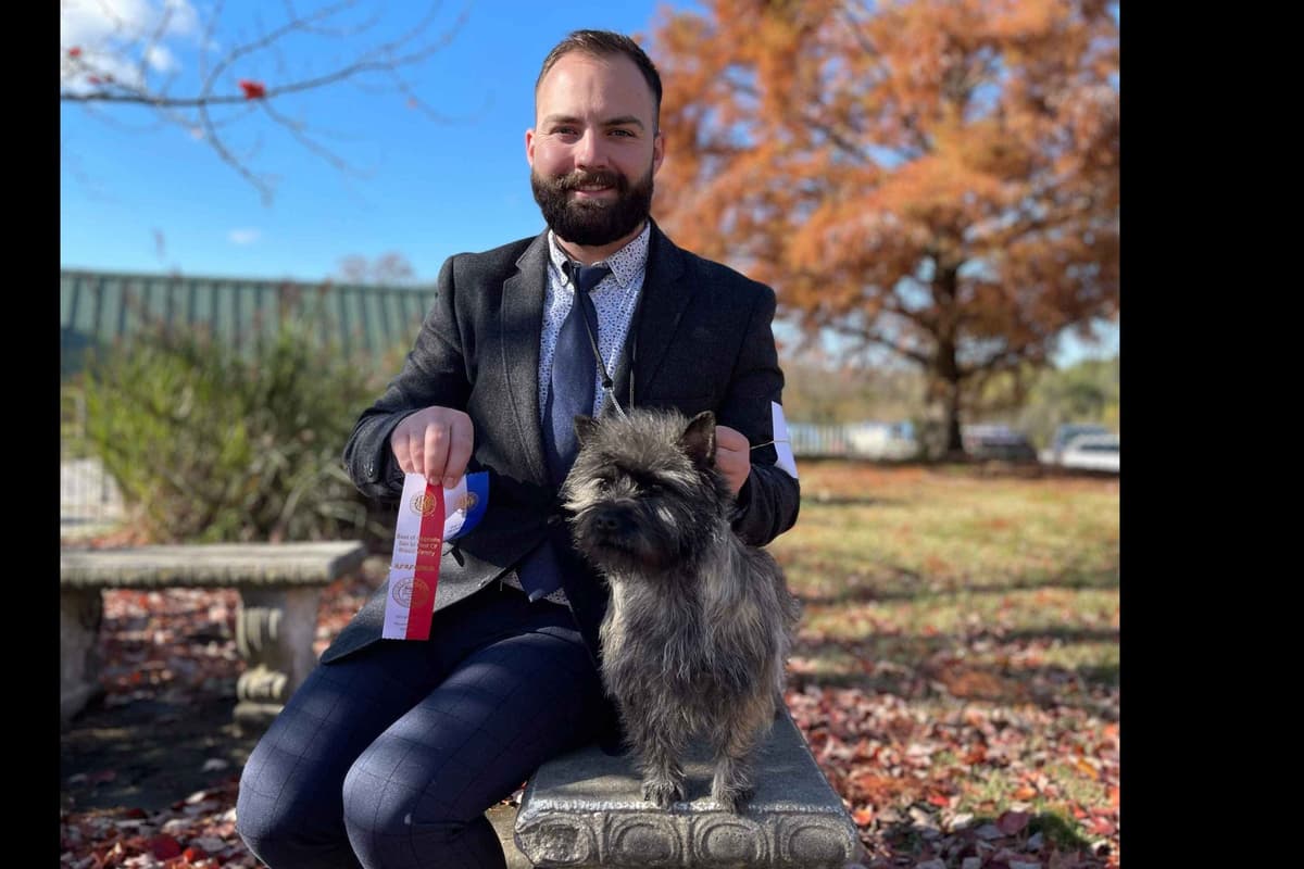 Cairn Terrier Puppies breeder image 4