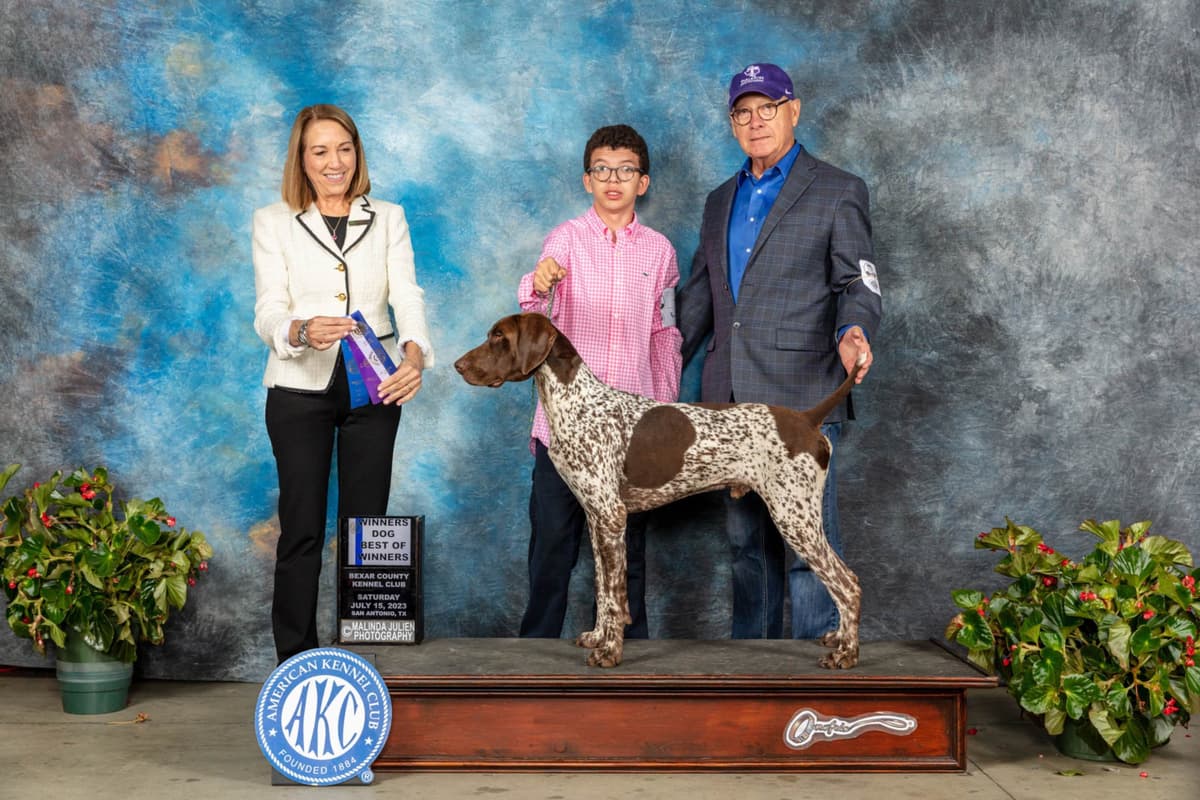 German Shorthaired Pointer Puppies breeder image 8