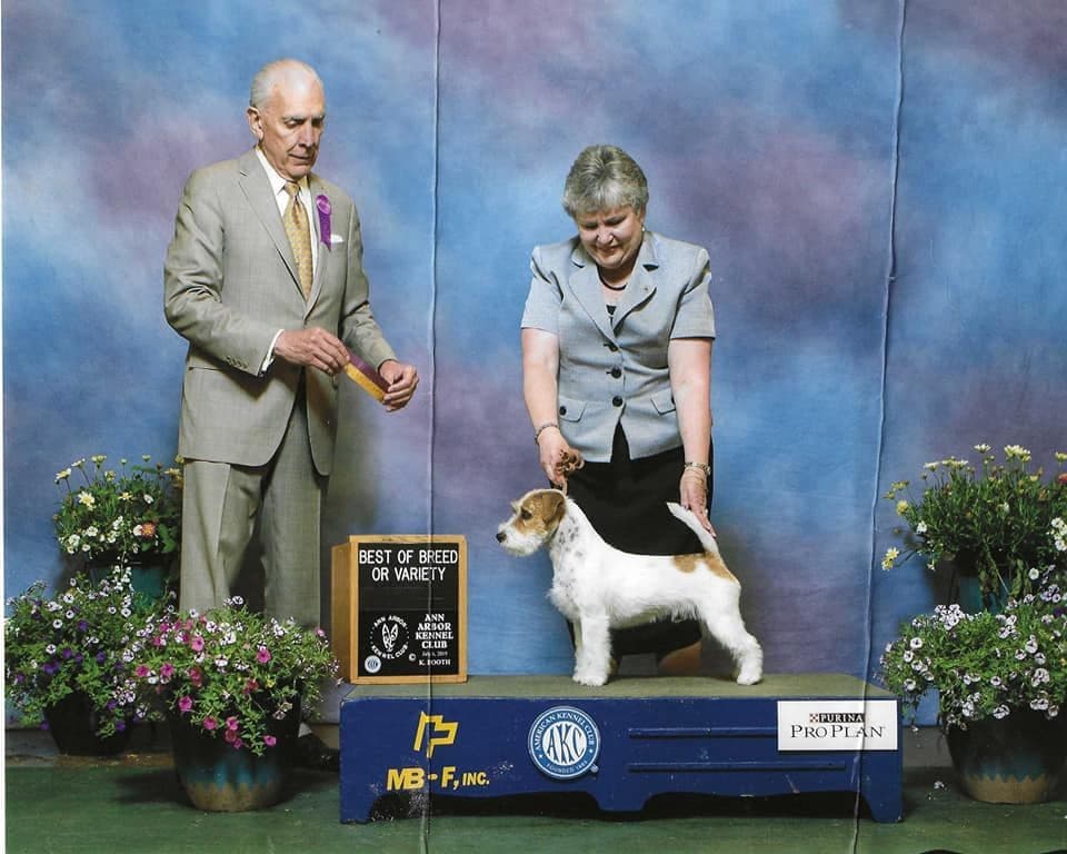 Russell Terrier Puppies breeder image 7
