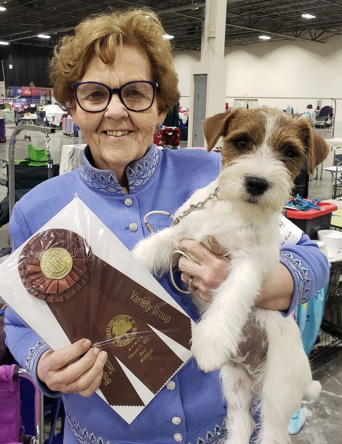 Russell Terrier Puppies breeder image 16