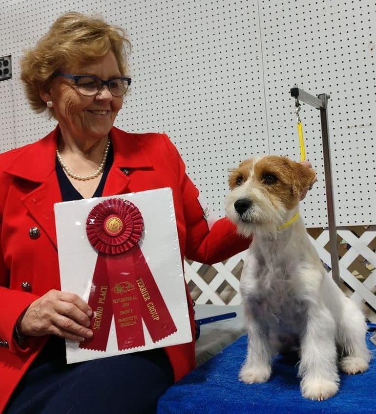 Russell Terrier Puppies breeder image 17