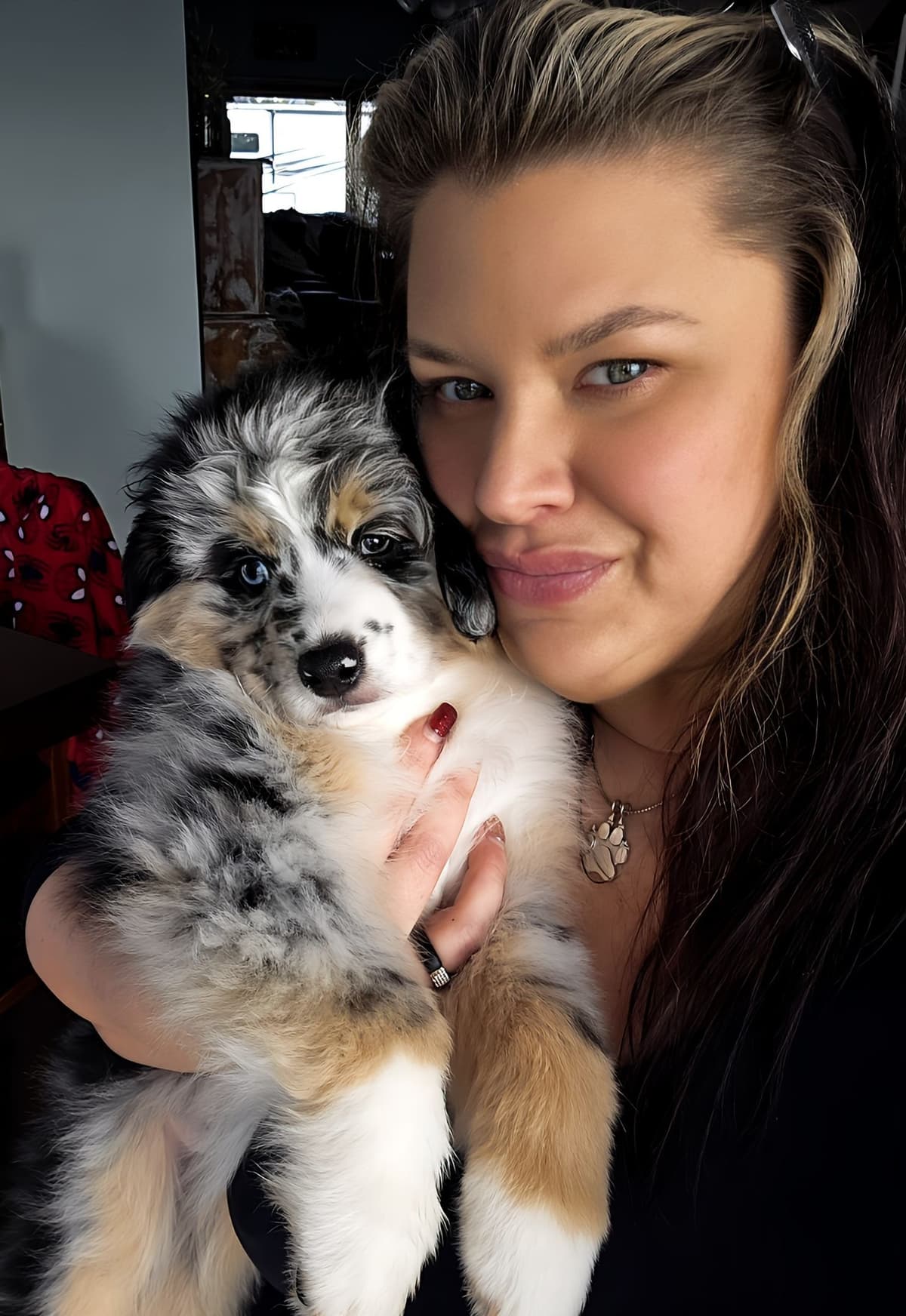 Miniature American Shepherd Puppies breeder image 17