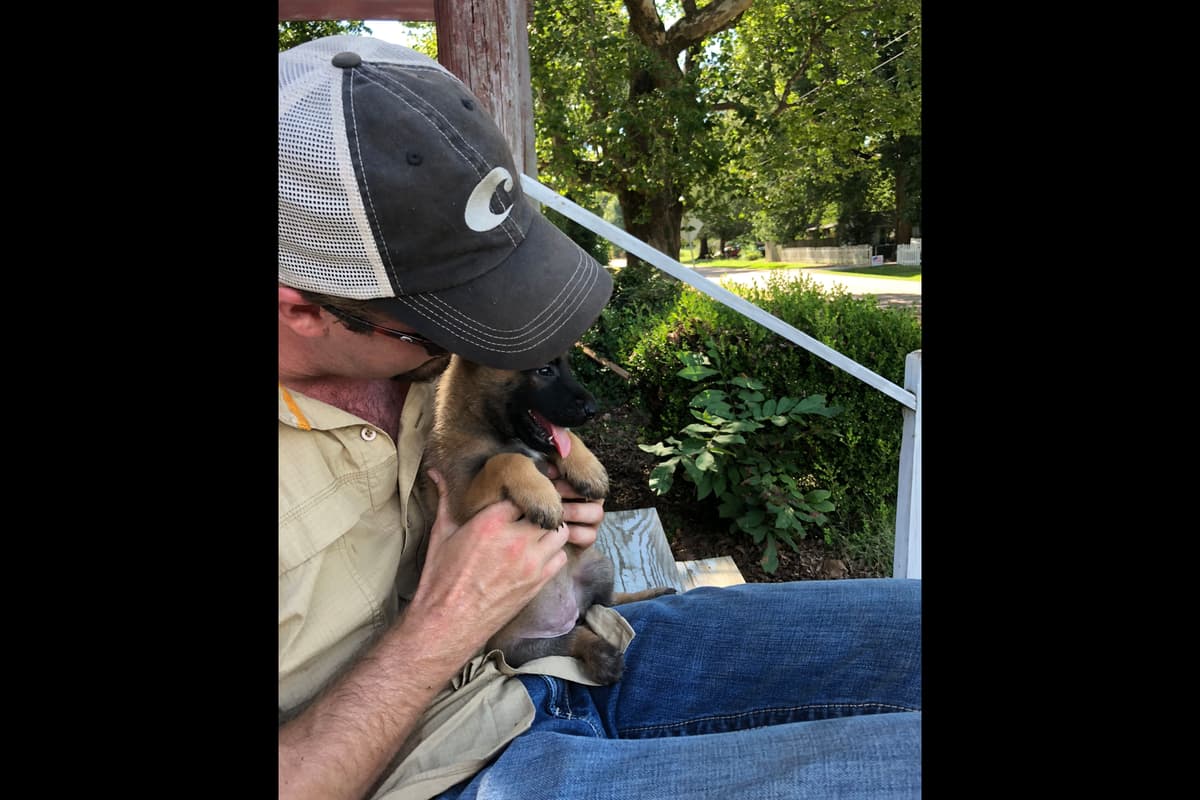 Belgian Malinois Puppies breeder image 24