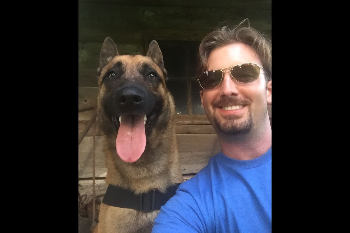 Belgian Malinois Puppies breeder image 26