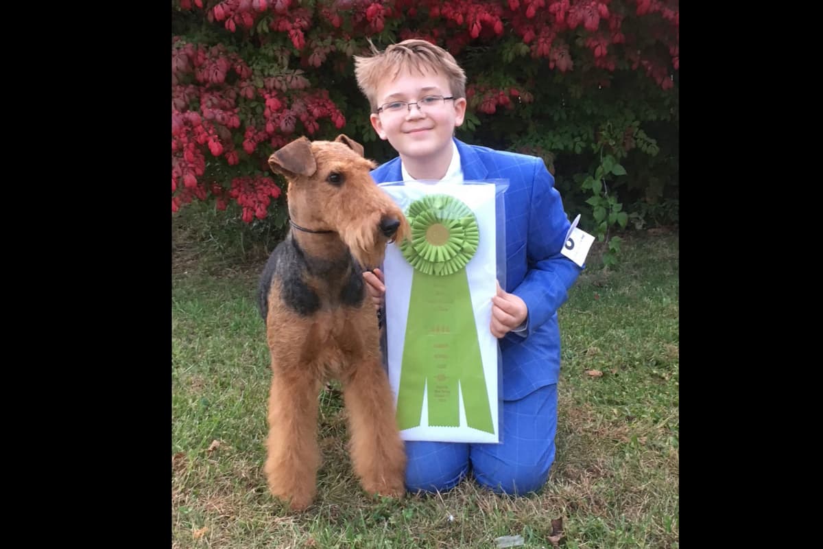 MEADOWAIRE Airedale Terrier Puppies breeder image 5