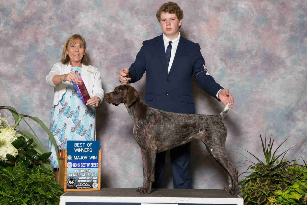 German Shorthaired Pointer Puppies breeder image 3