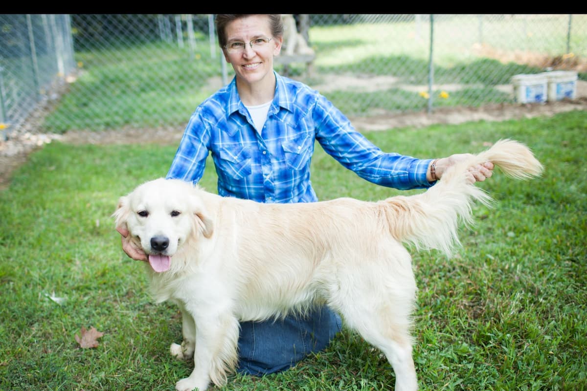 Moyen Poodle Puppies breeder image 2