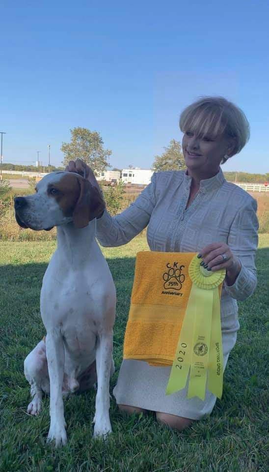 Pointer Puppies breeder image 10