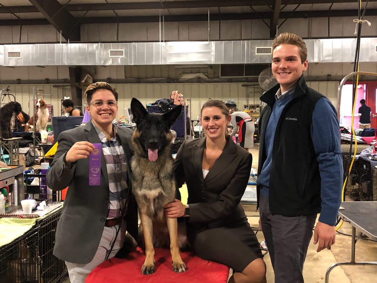 German Shepherd Dog Puppies breeder image 11