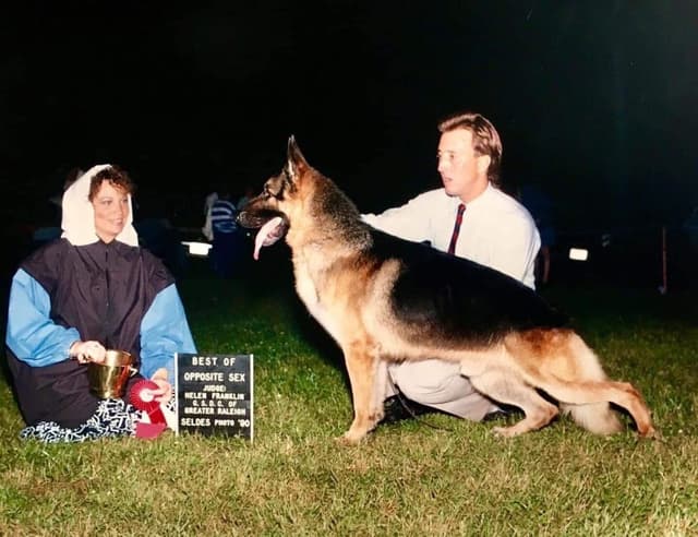 Baskerville German Shepherd Dog Puppies media 2