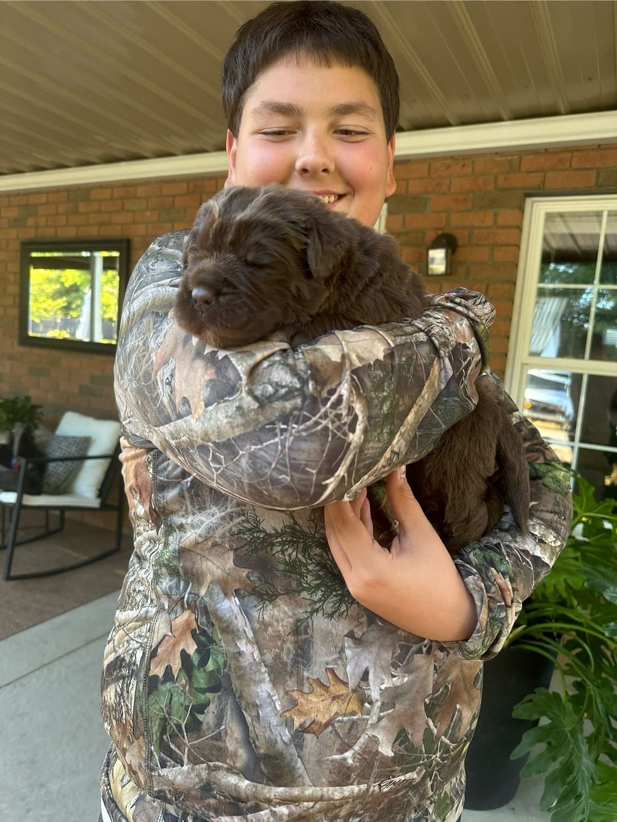 Newfoundland Puppies breeder image 11