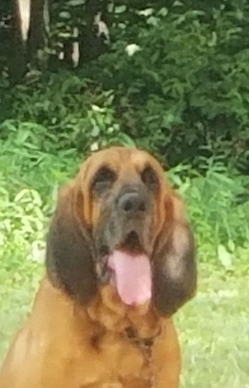 Tammy Wynette breeder image 1
