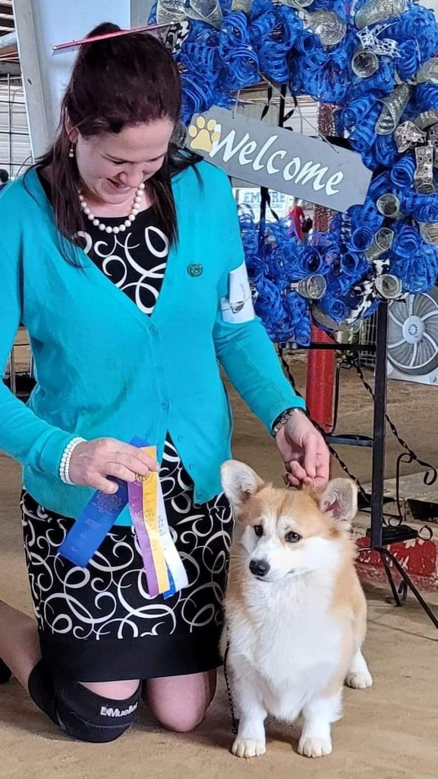 Pembroke Welsh Corgi Puppies breeder image 14