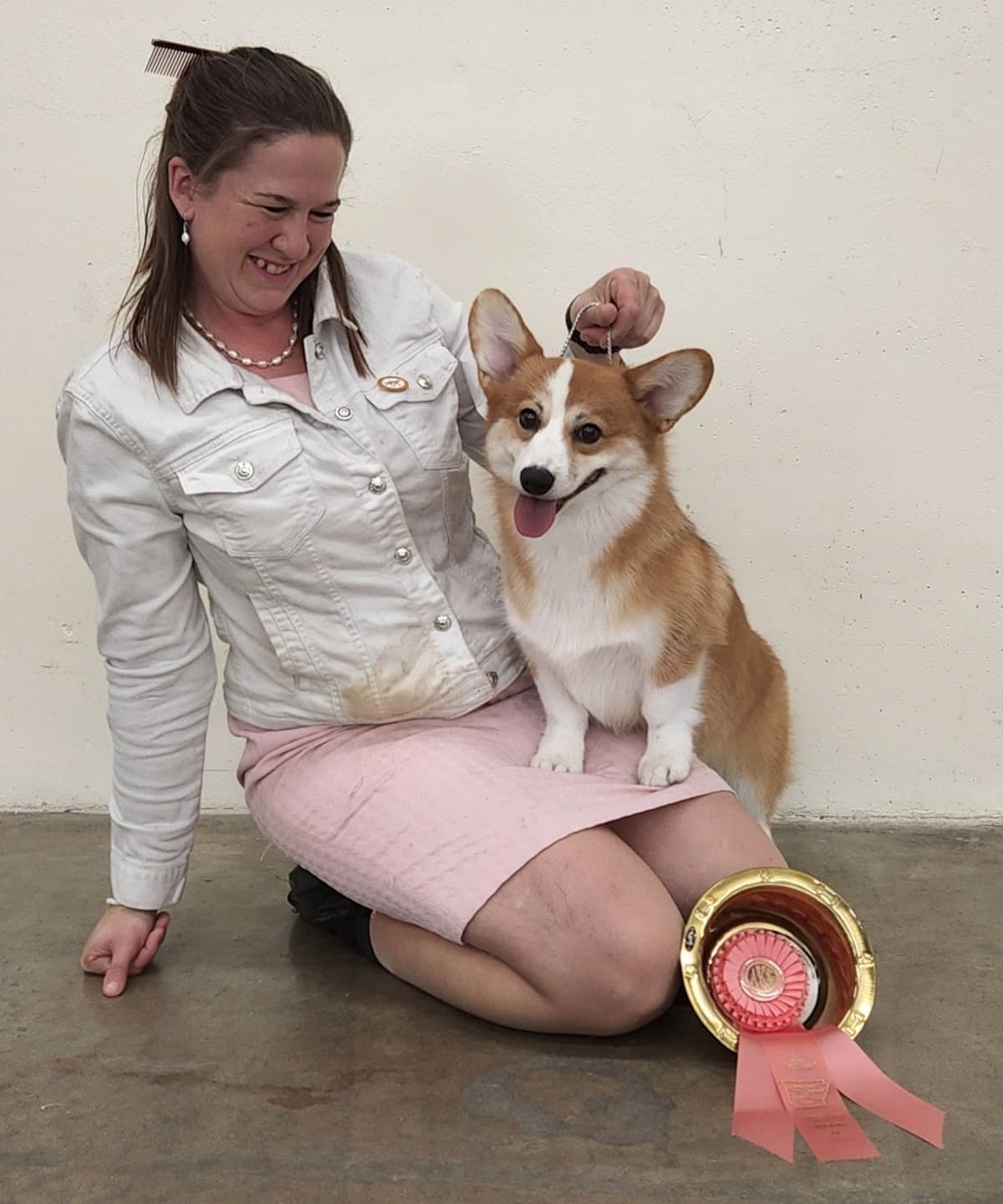 Pembroke Welsh Corgi Puppies breeder image 19