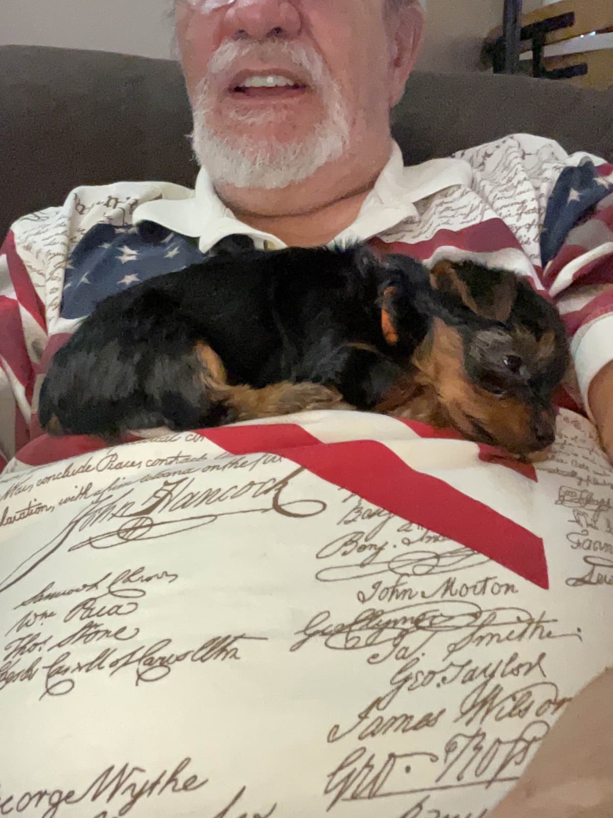 Yorkshire Terrier Puppies breeder image 14