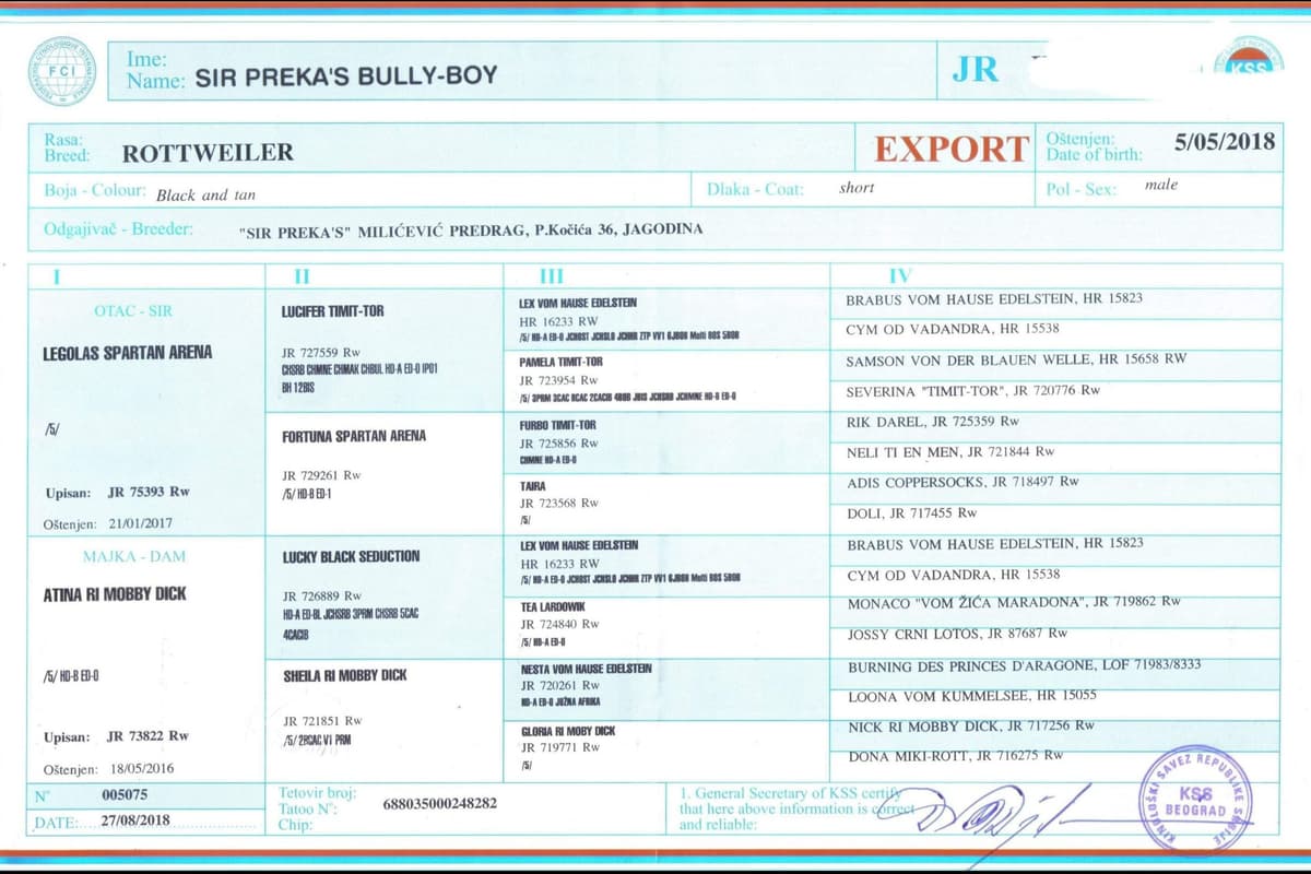Rottweiler Puppies breeder image 2