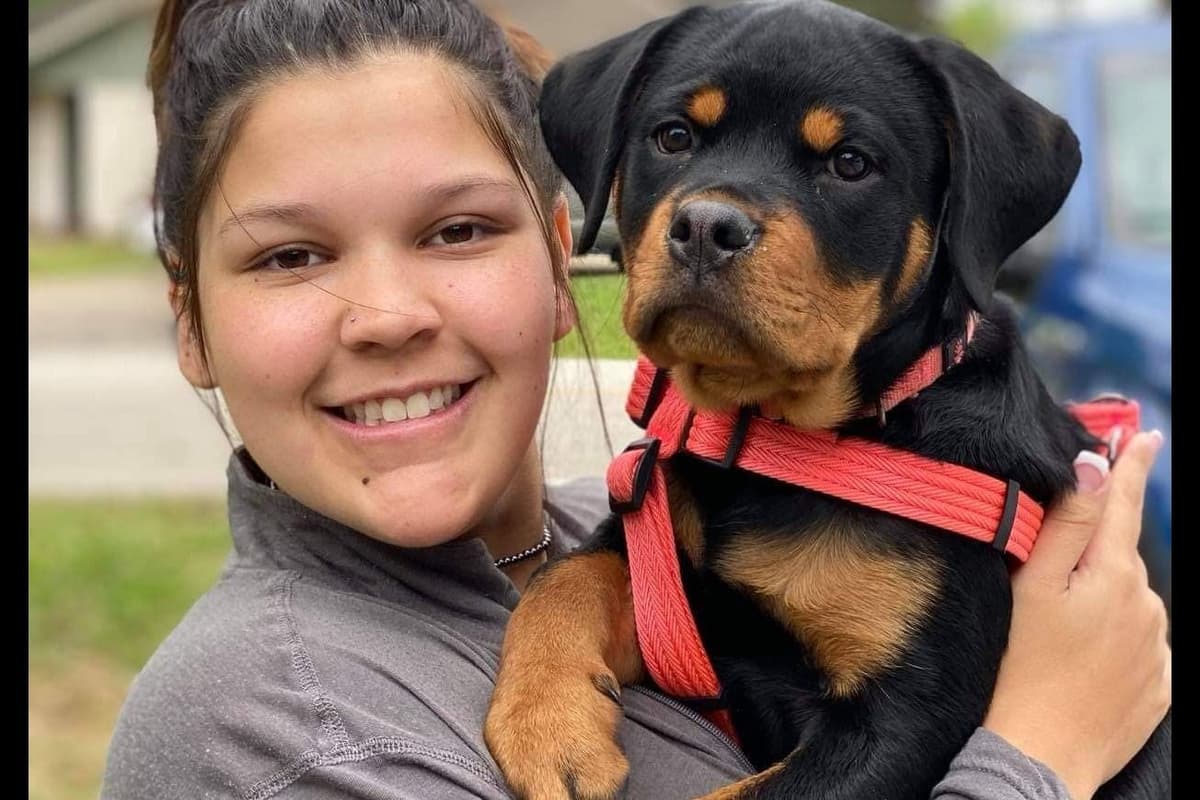 Rottweiler Puppies breeder image 10