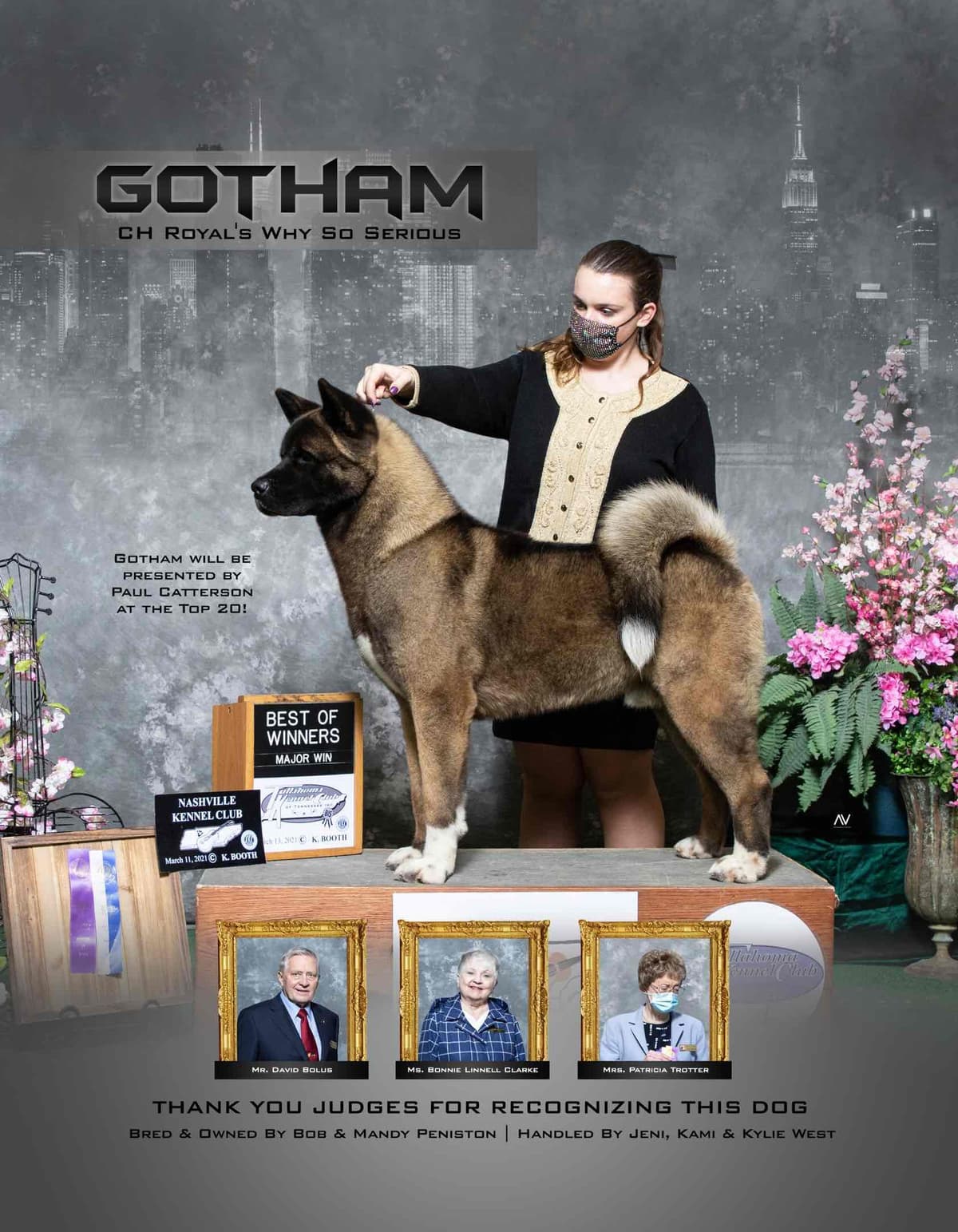 Australian Cattle Dog Puppies breeder image 28