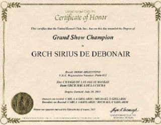 Dogo Argentino Puppies Champion Health Tested Parents. breeder image 35