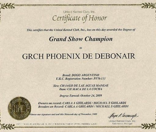 Dogo Argentino Puppies Champion Health Tested Parents. breeder image 42
