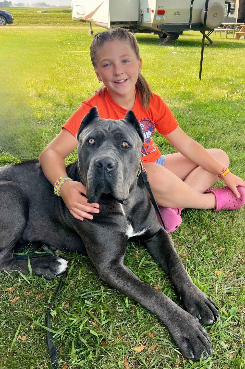 Cane Corso Puppies breeder image 11