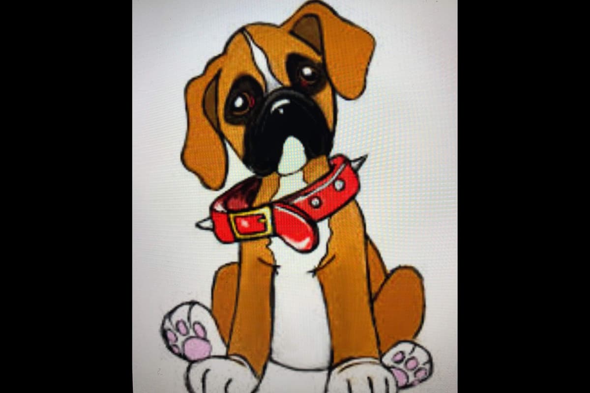 Boxer Puppies $700 each 1 Boy and 1 Girl breeder image 7
