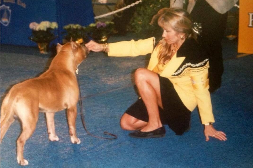 ADORABULL 38+yr EXPERIENCED Silver Achievement Level BREEDER OF MERIT breeder image 12