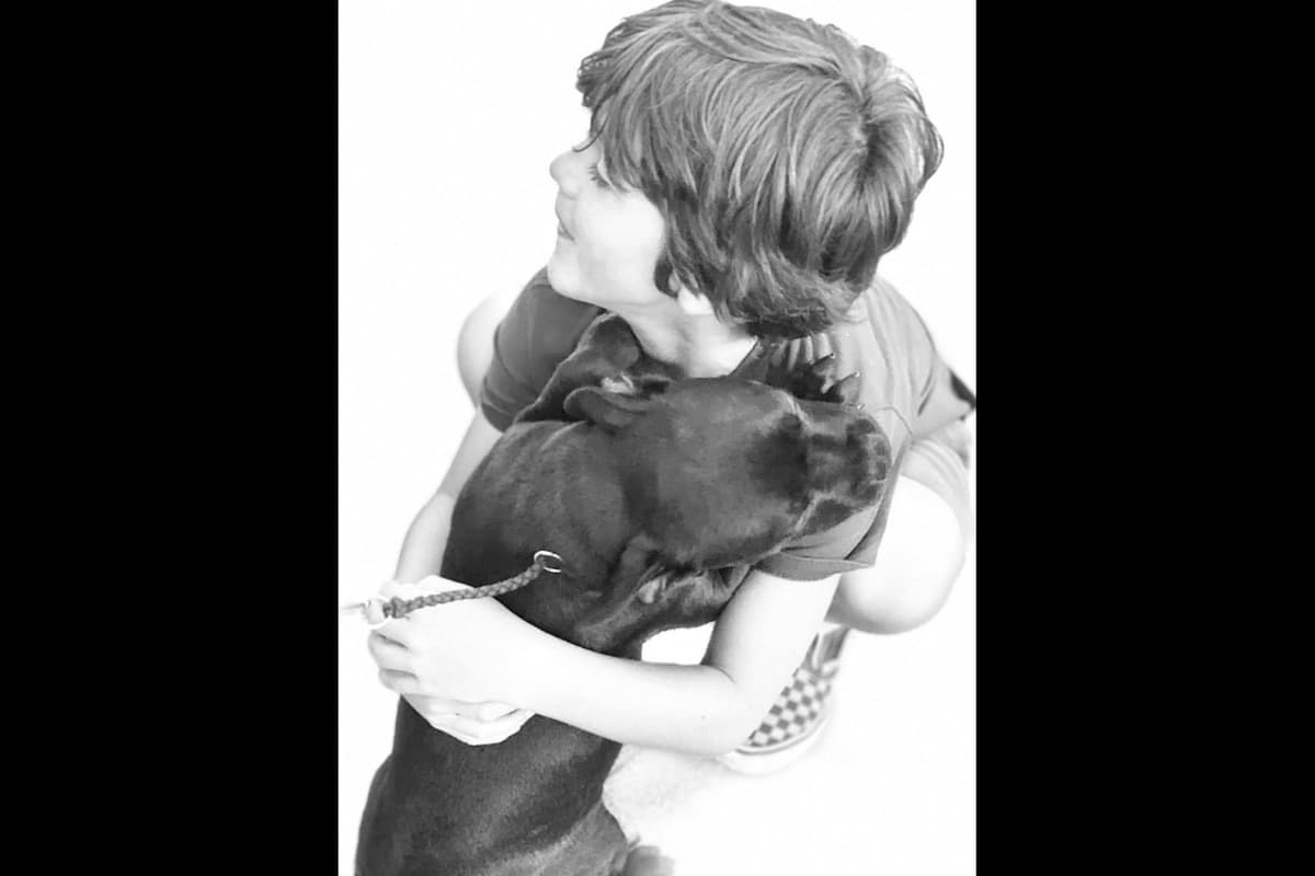 ADORABULL 38+yr EXPERIENCED Silver Achievement Level BREEDER OF MERIT breeder image 38