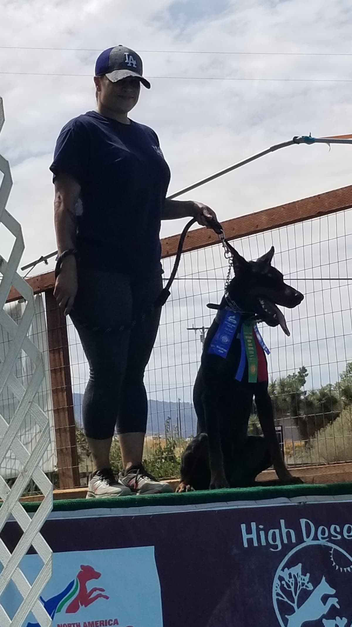 100% High Drive European Doberman Puppies breeder image 24