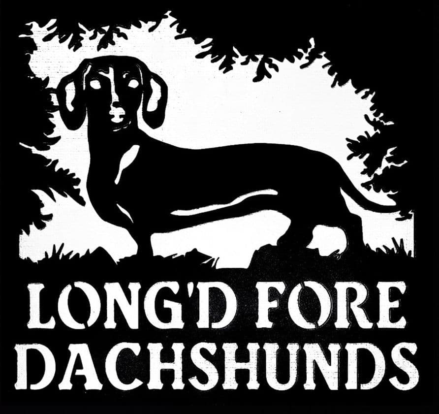 Dachshund Puppies breeder image 1