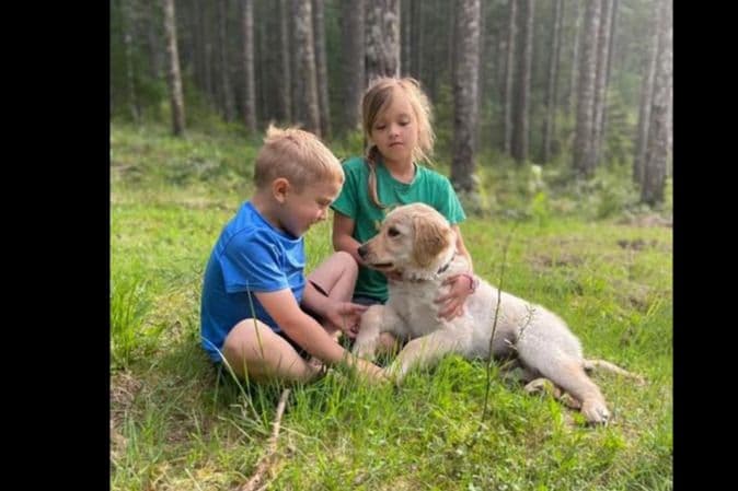 Golden Retriever Puppies breeder image 6