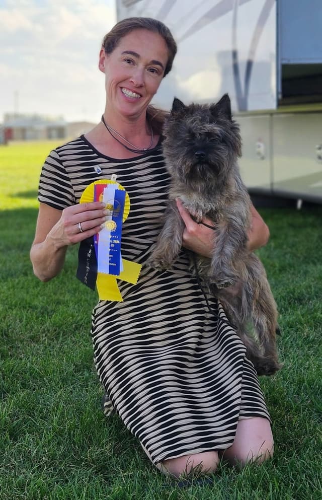 Cairn Terrier Puppies media 13