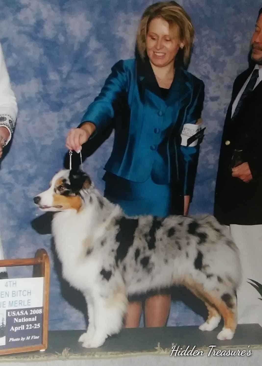 Australian Shepherd Puppies breeder image 10