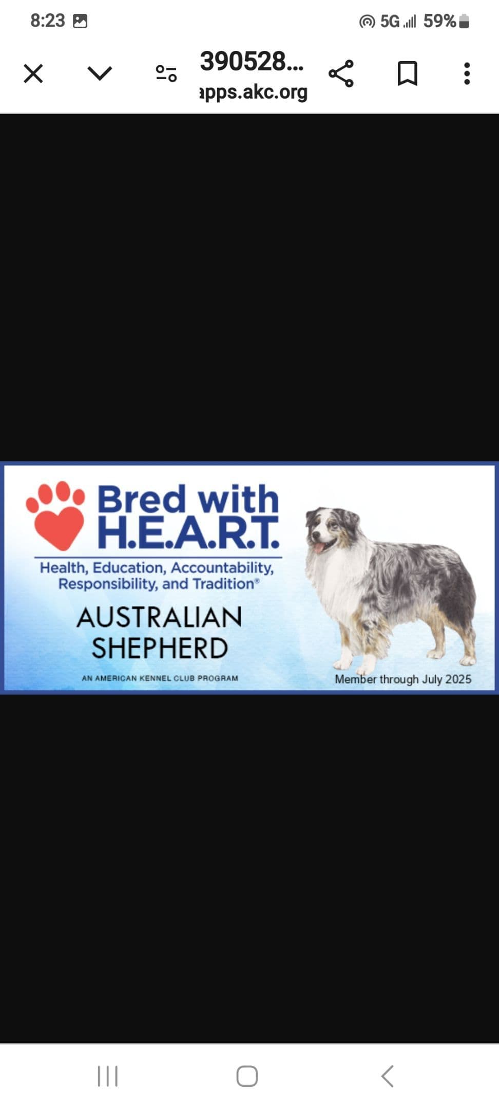 Australian Shepherd Puppies breeder image 25