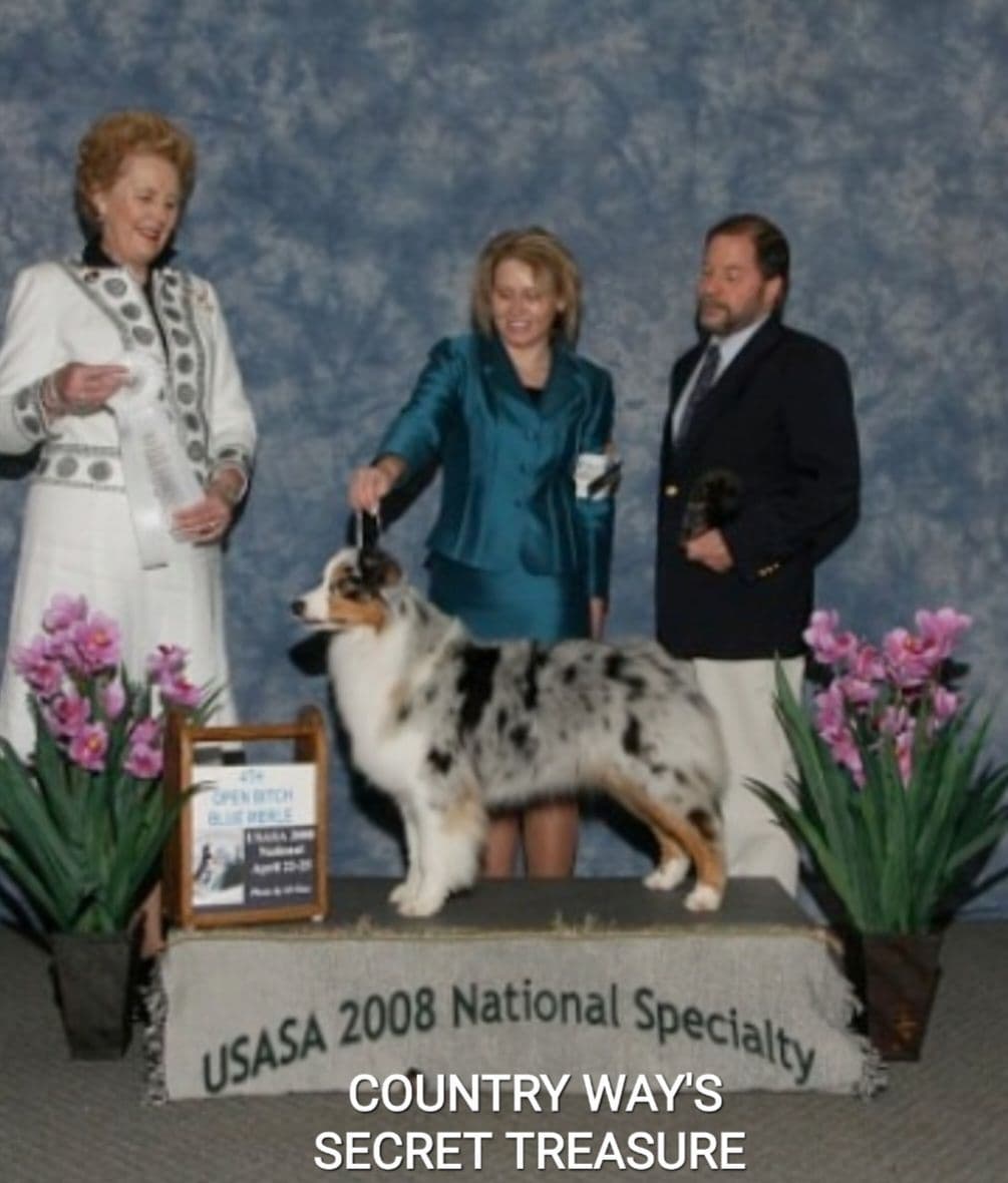 Australian Shepherd Puppies breeder image 9