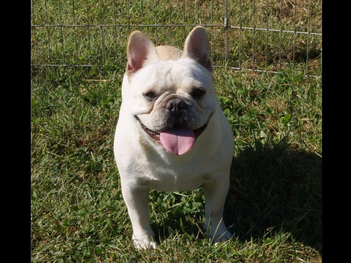 Sweetness all around! breeder image 4