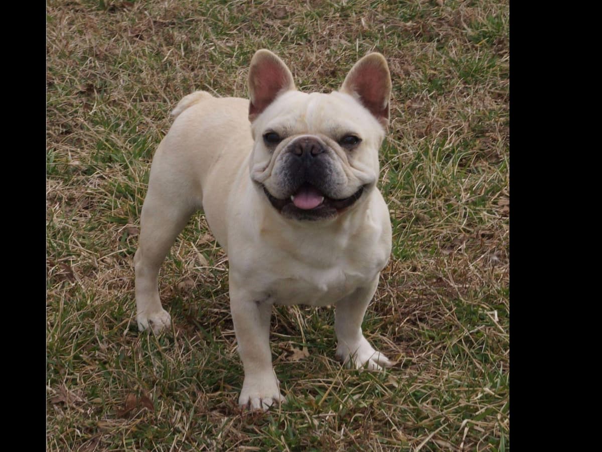 Sweetness all around! breeder image 5
