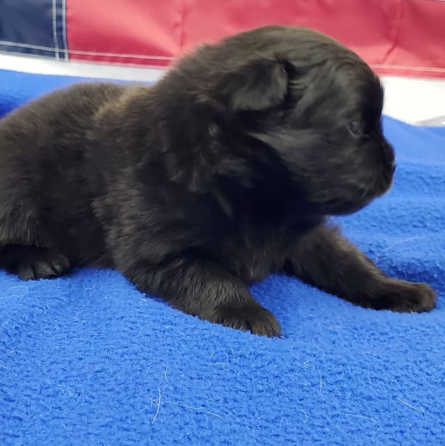 Beautiful black baby media 3
