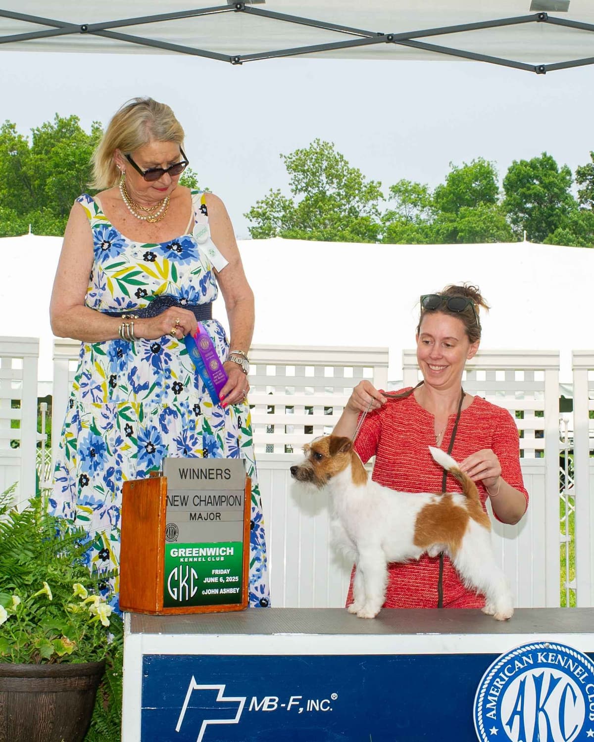Russell Terrier Puppies breeder image 21