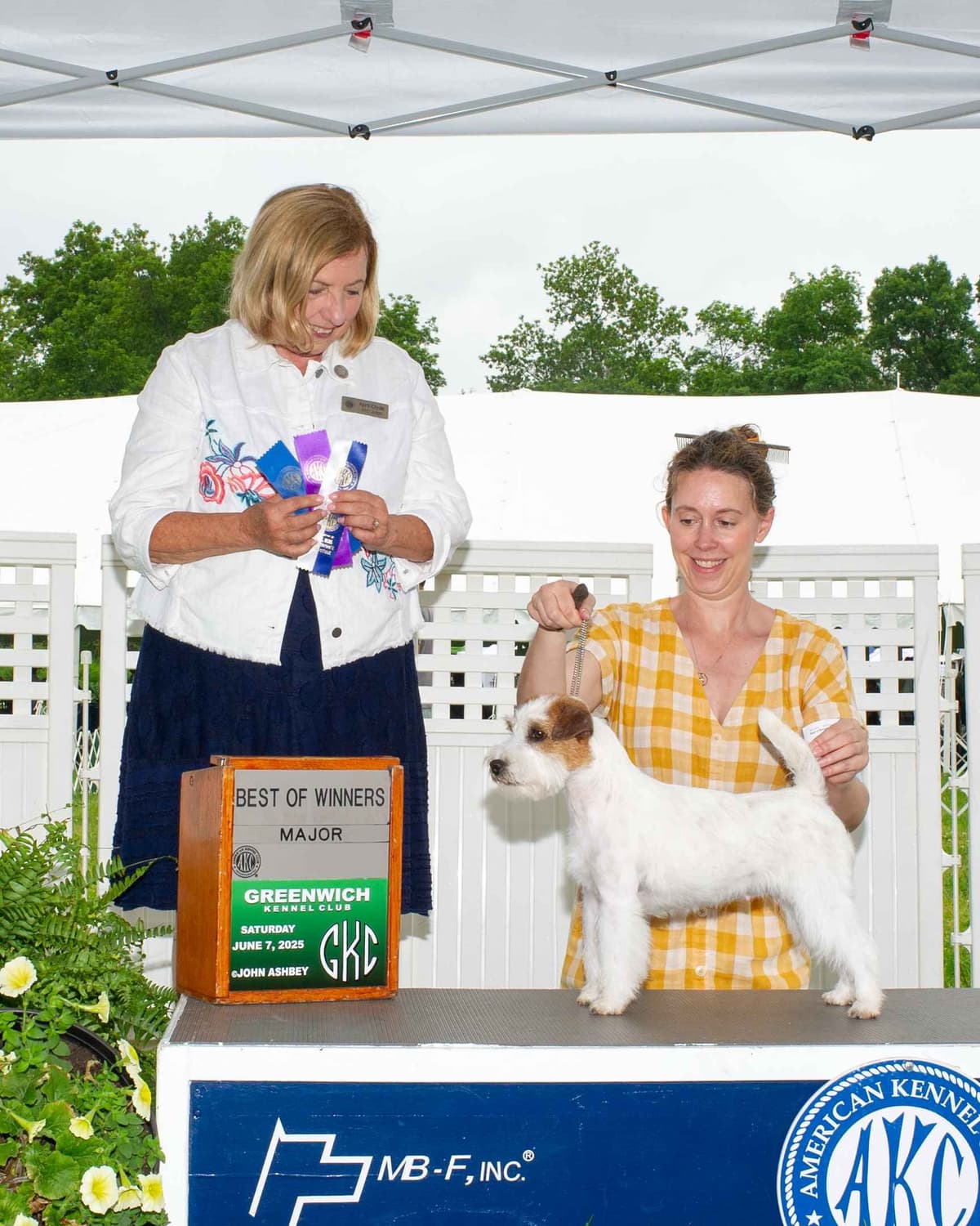 Russell Terrier Puppies breeder image 23