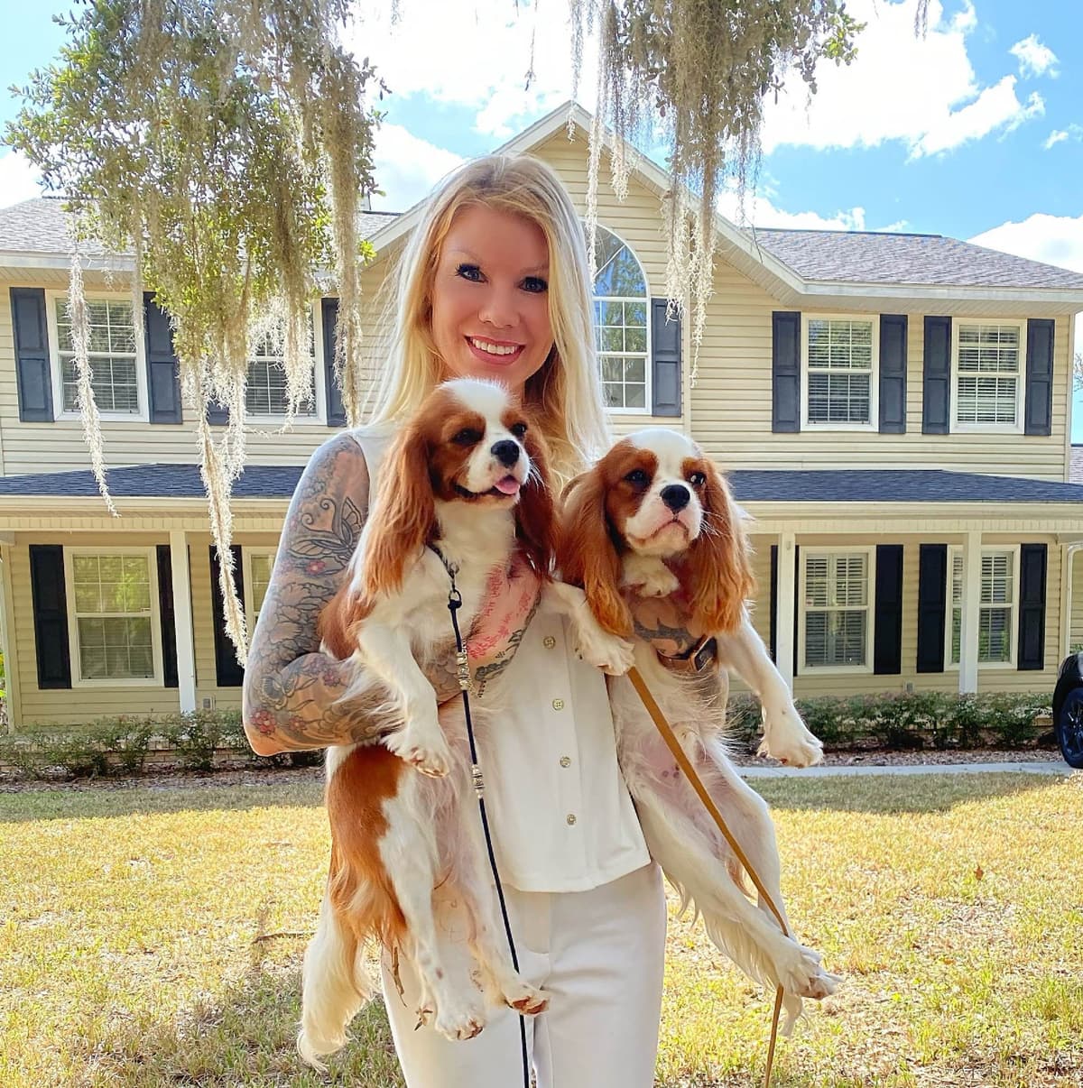 Cavalier King Charles Spaniel Puppies from Champion Bloodline breeder image 15