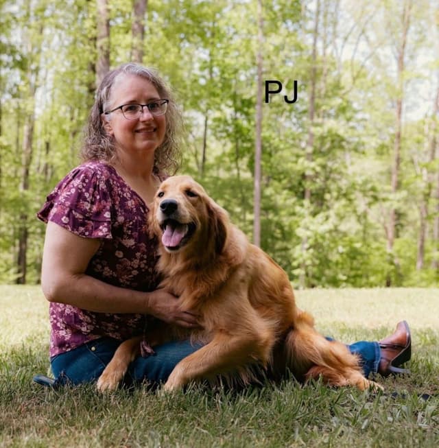 Embark and OFA tested Parents Golden Retriever Puppies media 3